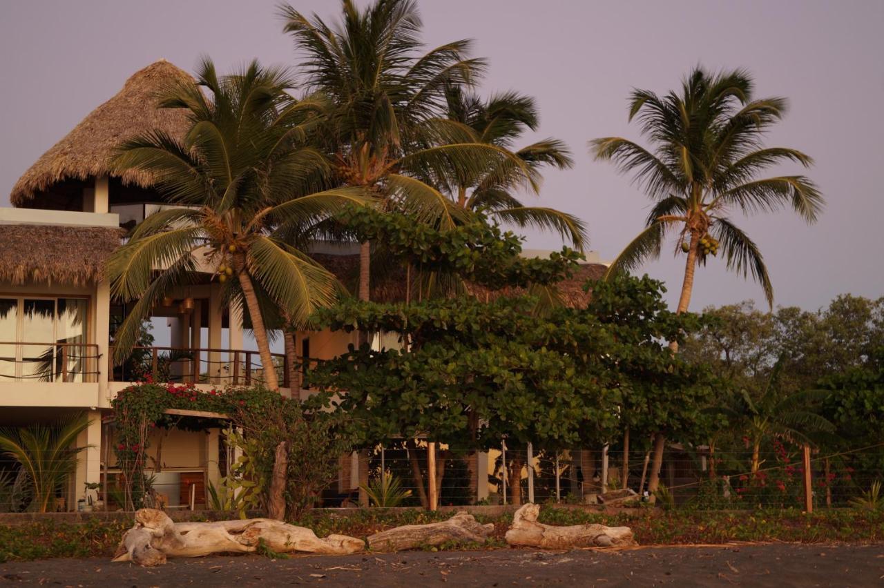 Alive Beach House Transito Kültér fotó